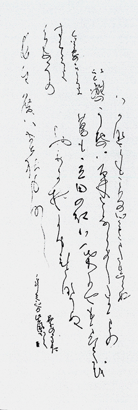 顧問 近藤 紫鳳